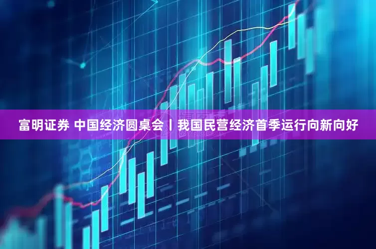 富明证券 中国经济圆桌会丨我国民营经济首季运行向新向好