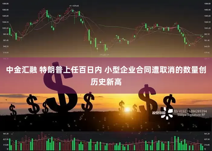 中金汇融 特朗普上任百日内 小型企业合同遭取消的数量创历史新高