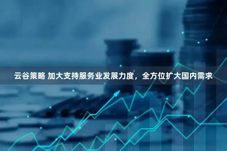 云谷策略 加大支持服务业发展力度，全方位扩大国内需求